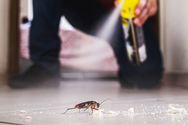 Best Pest Control Treatment  in USA